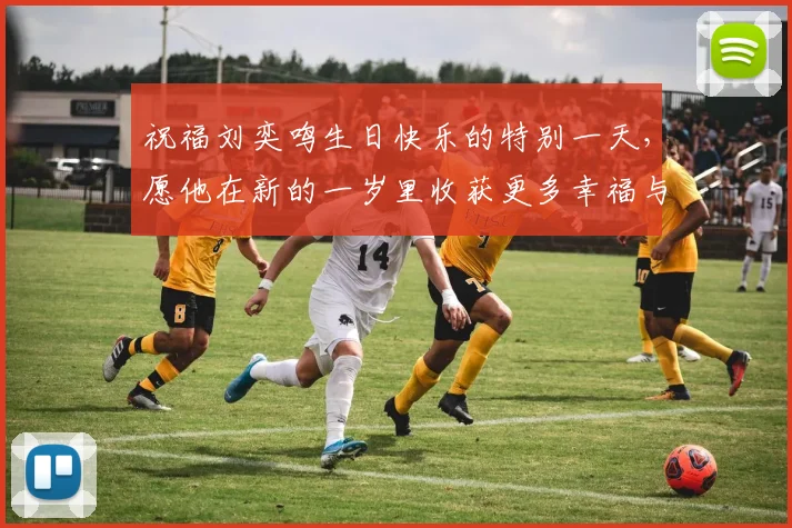 祝福刘奕鸣生日快乐的特别一天，愿他在新的一岁里收获更多幸福与成功