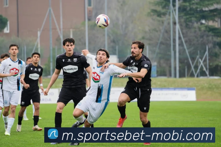 易倍体育平台生态图